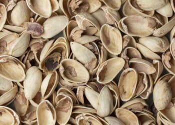 Cáscaras de pistacho utilizadas como remedio casero y natural para proteger plantas de plagas
