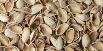 Cáscaras de pistacho utilizadas como remedio casero y natural para proteger plantas de plagas