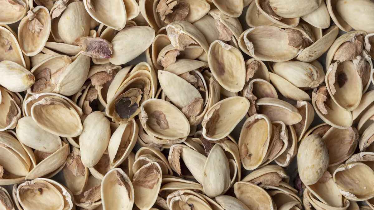 Cáscaras de pistacho utilizadas como remedio casero y natural para proteger plantas de plagas