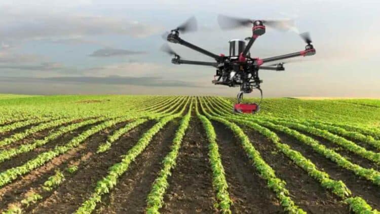 Dron agrícola sobrevolando cultivo en Madrid para vigilar cosechas y permitir el teletrabajo rural.