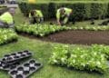 Trabajadores de jardinería plantando flores en Aranjuez para bolsa de empleo municipal.