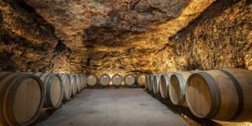 Bodega subterránea en Madrid con barricas de vino, enoturismo y catas de la Denominación de Origen Vinos de Madrid.