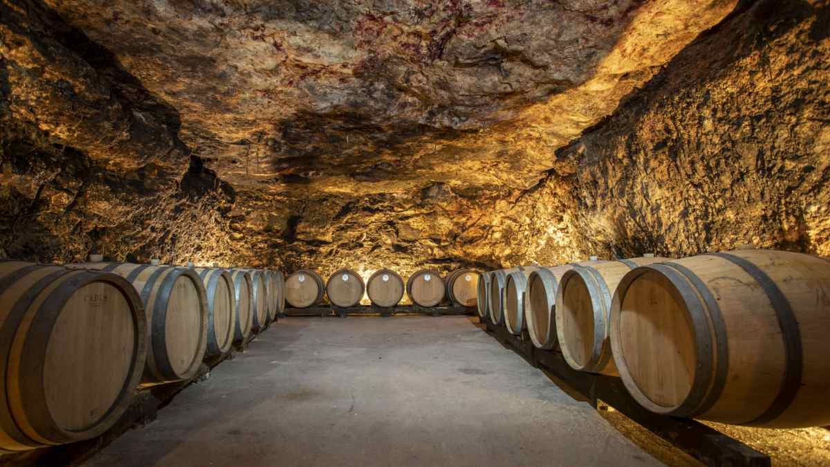 Bodega subterránea en Madrid con barricas de vino, enoturismo y catas de la Denominación de Origen Vinos de Madrid.