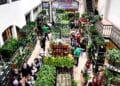 Mercado de plantas low cost en Espacio V22 Chamberí Madrid septiembre.