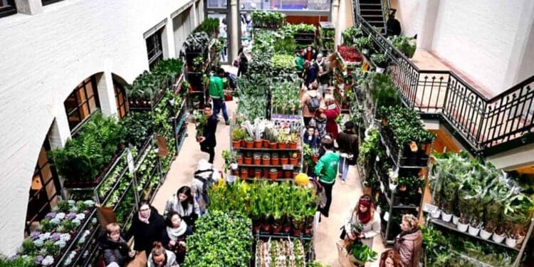 Mercado de plantas low cost en Espacio V22 Chamberí Madrid septiembre.