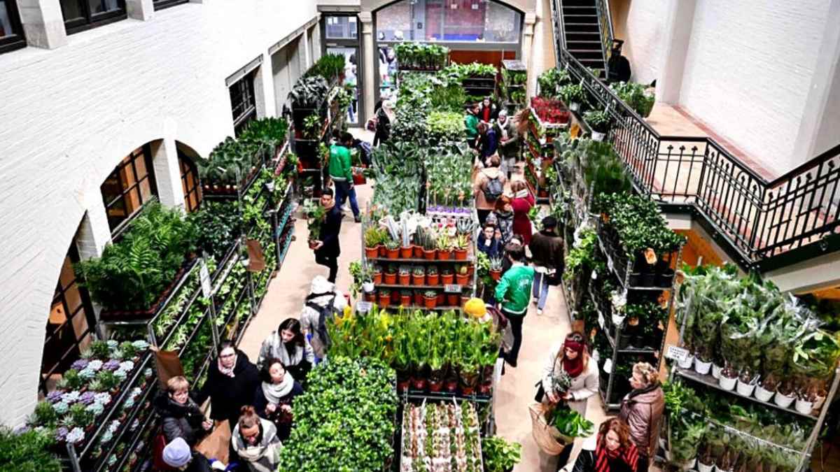 Mercado de plantas low cost en Espacio V22 Chamberí Madrid septiembre.