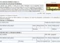 certificado incapacidad temporal estatuto trabajadores baja medica.