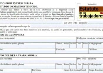 certificado incapacidad temporal estatuto trabajadores baja medica.