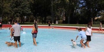 Personas y perros disfrutando del FuenlaDog Fest en la piscina municipal de Fuenlabrada.