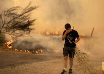Incendio en Madrid afecta a propietarios y explotaciones con humo y llamas.