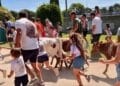 Bueyada del 13 de agosto en Pinto con presencia de menores.