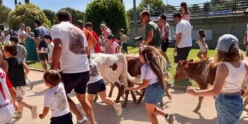 Bueyada del 13 de agosto en Pinto con presencia de menores.