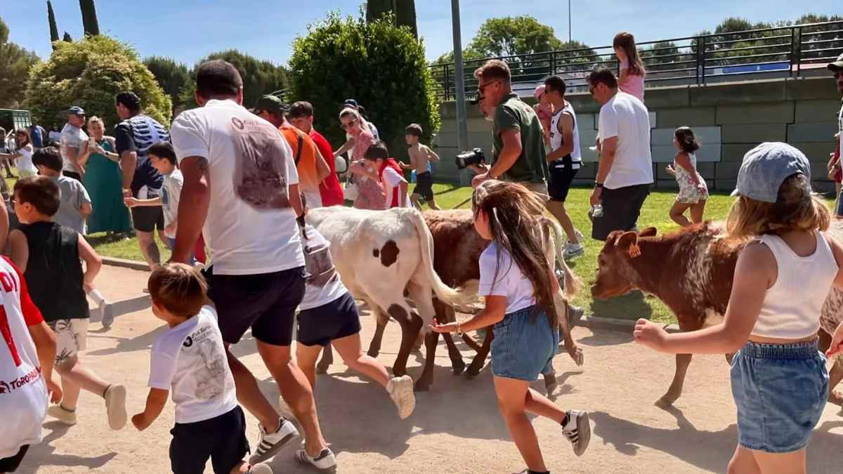 Bueyada del 13 de agosto en Pinto con presencia de menores.