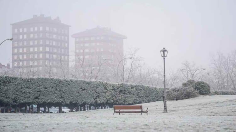 Heladas en parque urbano de Madrid con edificios al fondo.