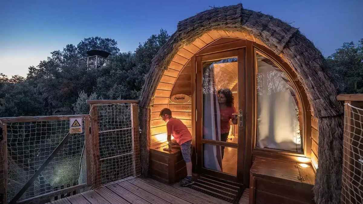 Camping en Madrid con cabañas en los árboles en la Sierra de Guadarrama.