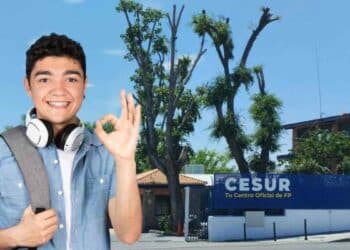Estudiante de FP online en CESUR con formación oficial y alta empleabilidad.