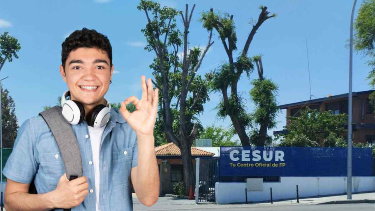 Estudiante de FP online en CESUR con formación oficial y alta empleabilidad.