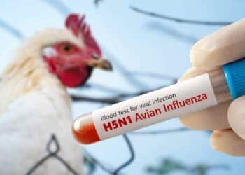 Prueba de sangre para gripe aviar H5N1 en Madrid tras foco detectado en Alcobendas.