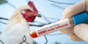 Prueba de sangre para gripe aviar H5N1 en Madrid tras foco detectado en Alcobendas.