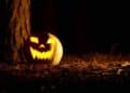 Calabaza iluminada de Halloween en la oscuridad junto a un árbol, símbolo típico de la decoración más buscada.
