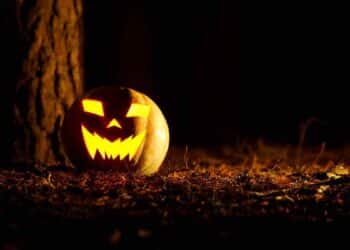 Calabaza iluminada de Halloween en la oscuridad junto a un árbol, símbolo típico de la decoración más buscada.