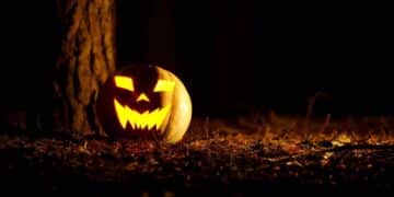 Calabaza iluminada de Halloween en la oscuridad junto a un árbol, símbolo típico de la decoración más buscada.