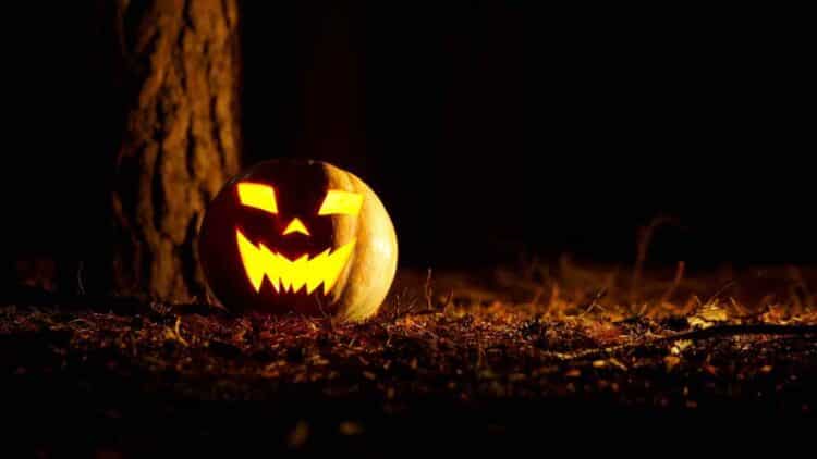 Calabaza iluminada de Halloween en la oscuridad junto a un árbol, símbolo típico de la decoración más buscada.