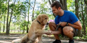Hombre cuida a su perro en el parque tras la Ley de Bienestar Animal en España.