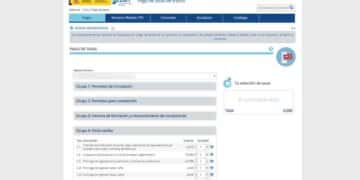 Pago de tasas de tráfico en la web de la DGT para renovar el carné de conducir.