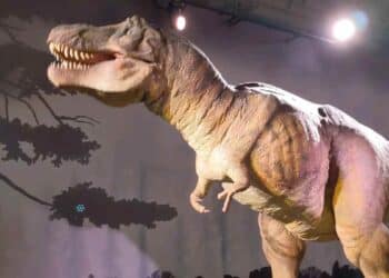 Dinosaurio animatrónico Tiranosaurio Rex en venta tras cierre de parque en Nueva Jersey.