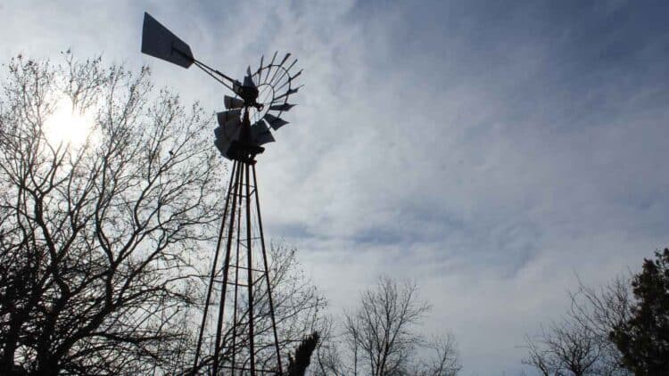 Molino de viento Aermotor restaurado en la Quinta de los Molinos de Madrid