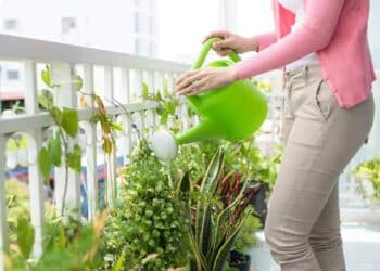 persona regando plantas en el balcón de su casa en Madrid.