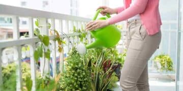 persona regando plantas en el balcón de su casa en Madrid.