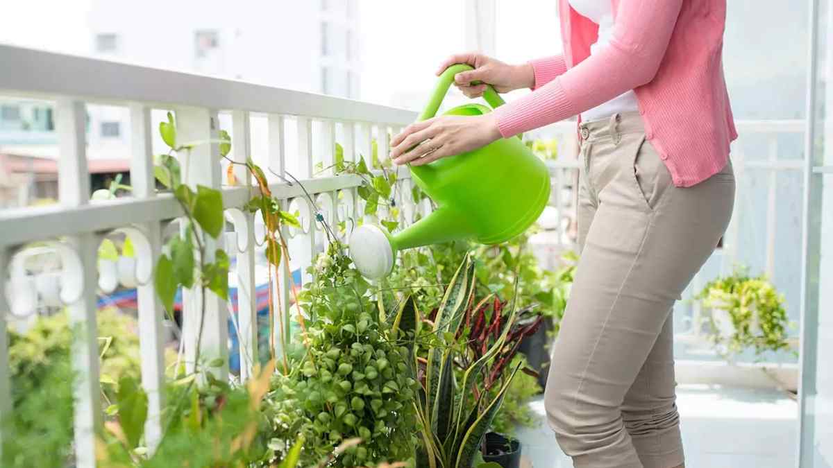 persona regando plantas en el balcón de su casa en Madrid.