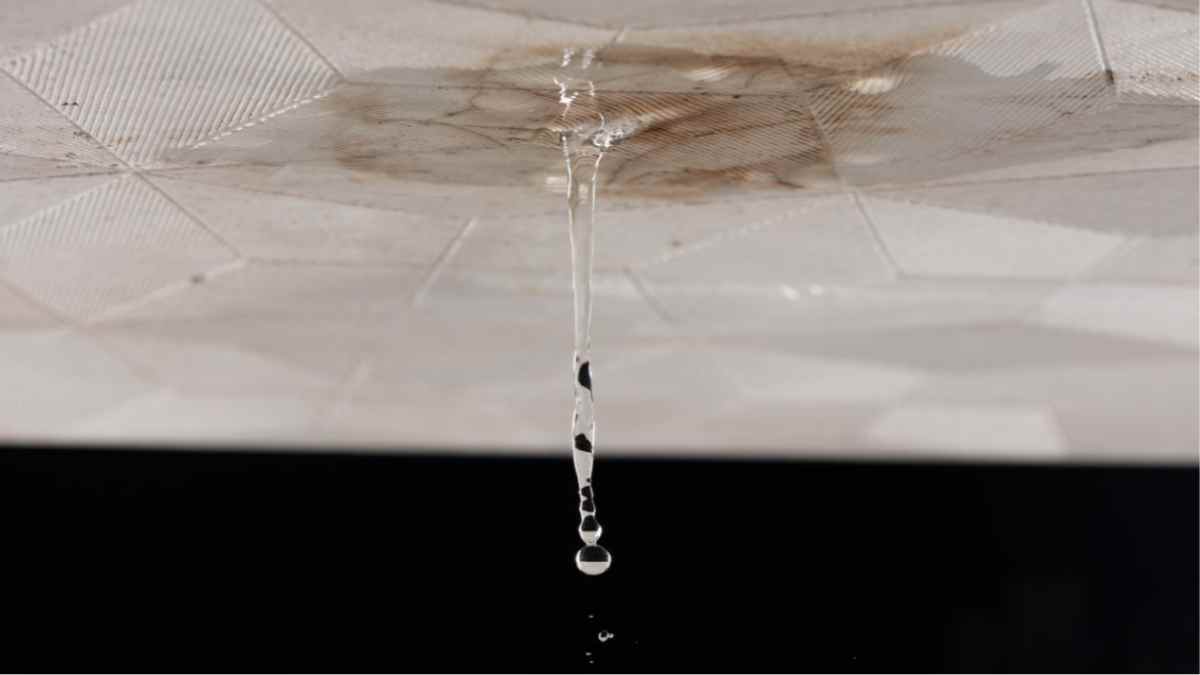 gotera en techo de vivienda por filtración de agua según el BOE.