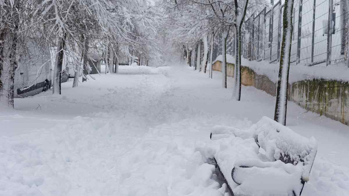 Parque cubierto de nieve tras una fuerte nevada en Madrid.