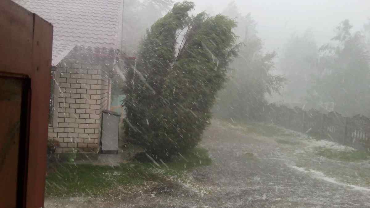 Viento fuerte y lluvia intensa provocados por la borrasca Francis en una zona residencial