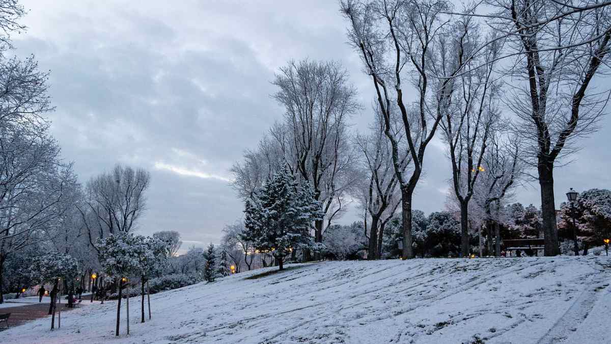 Parque de Madrid cubierto de nieve durante una jornada de heladas y frío invernal según la AEMET.