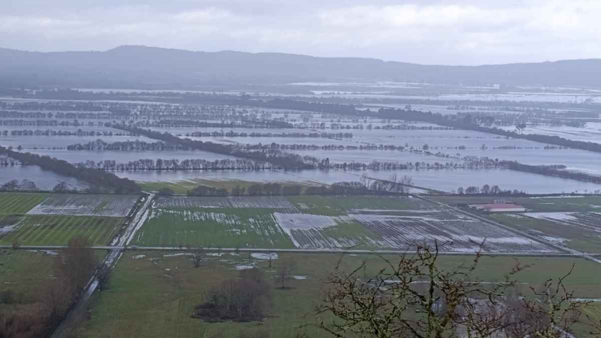 Campos agrícolas inundados en Madrid por la crecida del río Jarama, con fincas anegadas y parcelas bajo el agua.