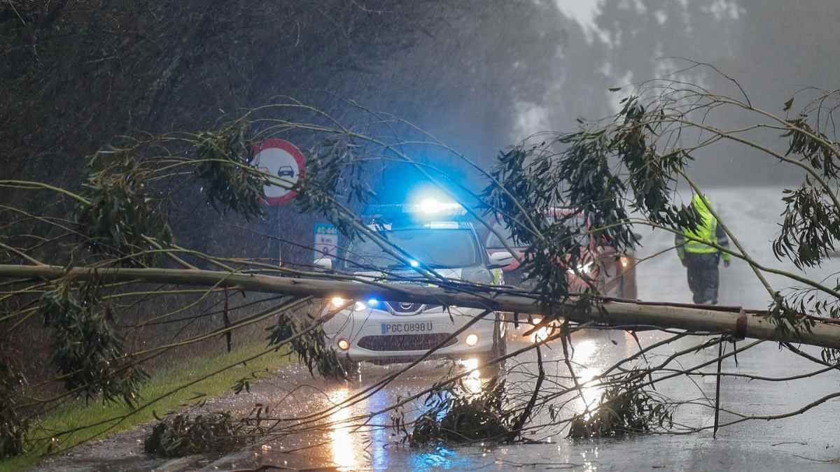 Árbol caído en una carretera de Madrid por fuertes vientos durante un episodio de lluvia y tormentas