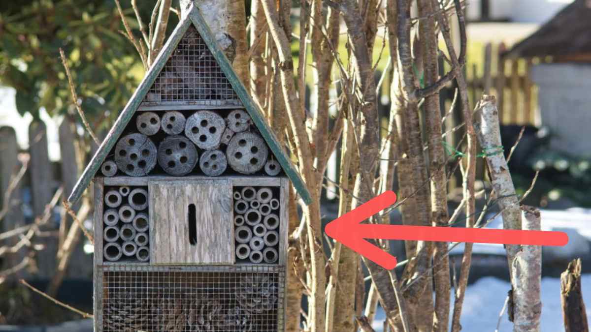 Hotel para insectos instalado en un parque de San Martín de la Vega para favorecer el control natural de plagas