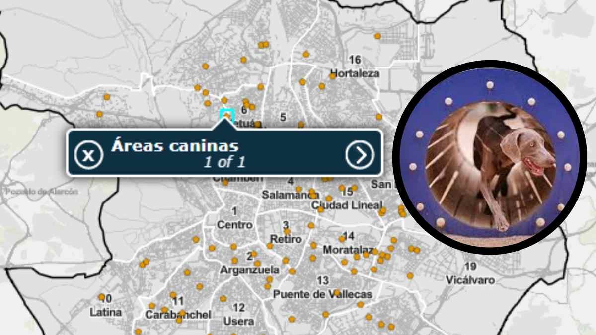 Mapa del Geoportal del Ayuntamiento de Madrid con las 114 áreas caninas señaladas en la ciudad