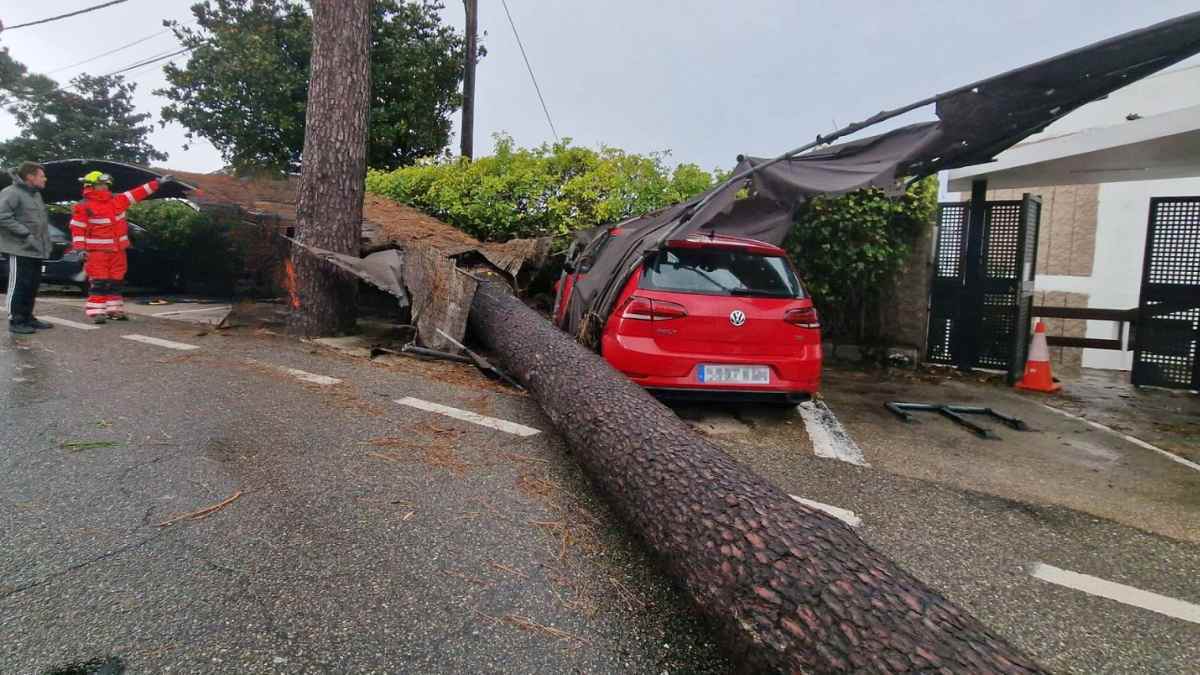 Árbol caído sobre un coche por el fuerte viento y la lluvia en Madrid