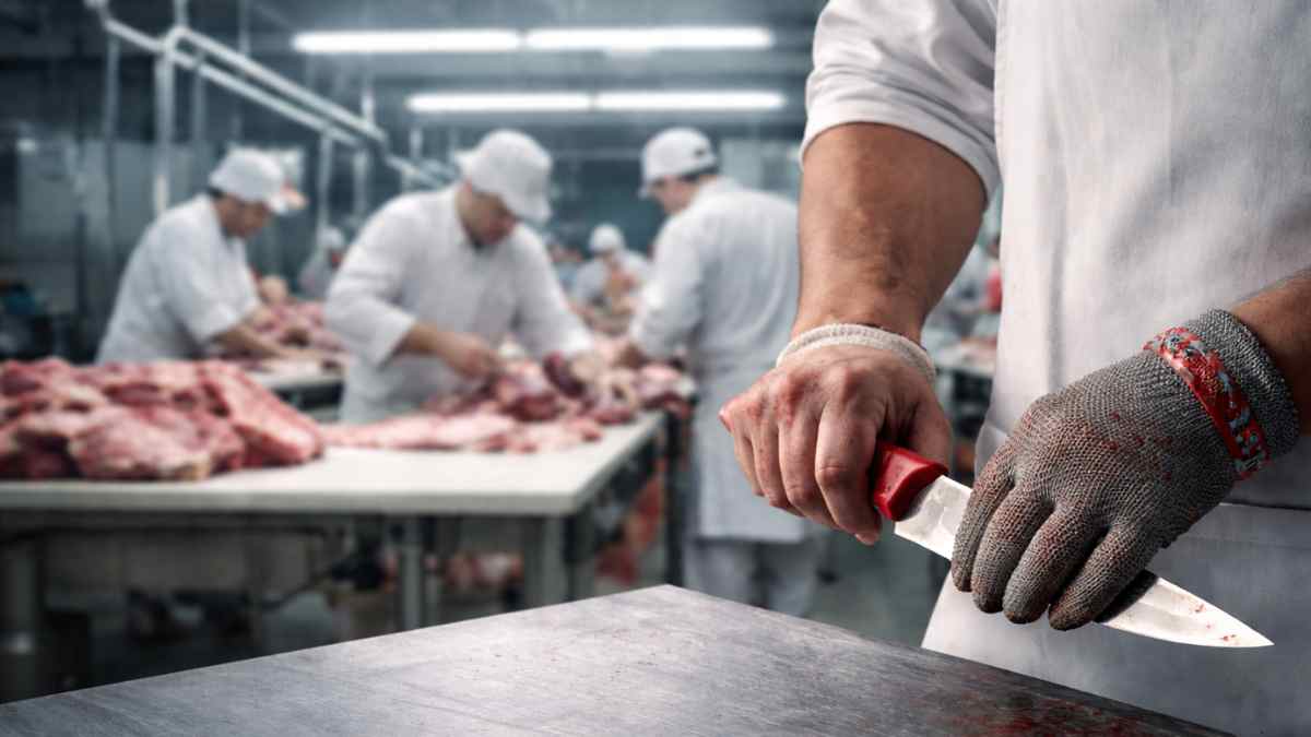 Trabajador del sector cárnico con cuchillo en una planta de procesamiento de carne, caso de falso autónomo en cooperativa cárnica