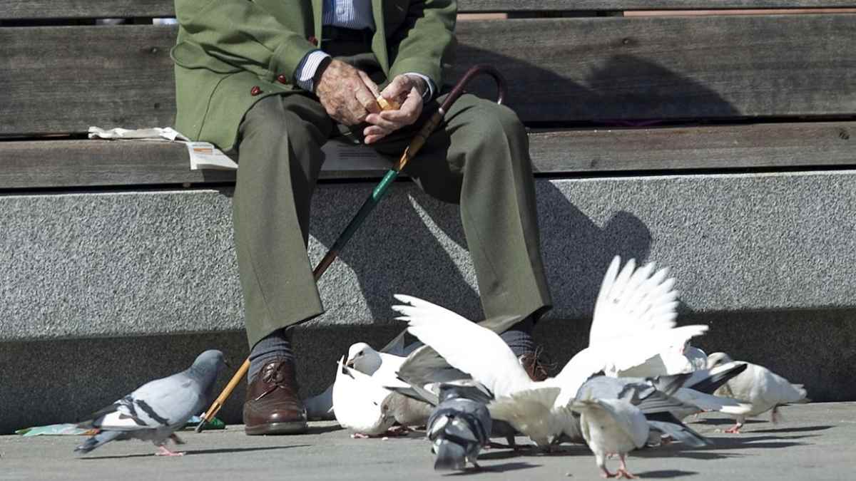 Hombre mayor jubilado sentado en un banco dando de comer a palomas en una plaza