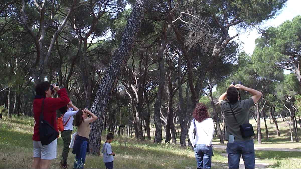 jugador realizando actividad deportiva en taller gratuito del programa hábitat madrid