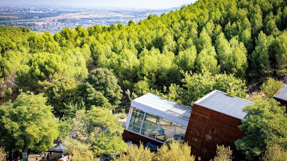 Centro Chico Mendes en Rivas rodeado de naturaleza durante actividad ambiental en Chapinería
