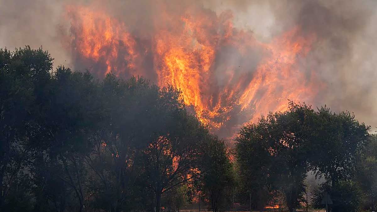 La imagen muestra un incendio forestal de gran magnitud, con intensas llamas y humo denso elevándose sobre una zona arbolada. El fuego avanza rápidamente, amenazando la vegetación y generando una situación de emergencia en Madrid y Ávila.