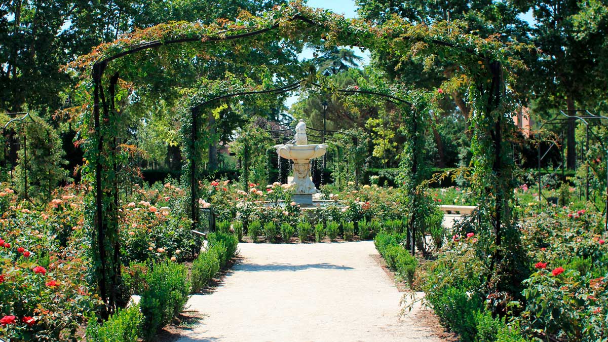 Rosaleda del Retiro en Madrid con fuente central y rosales en flor
