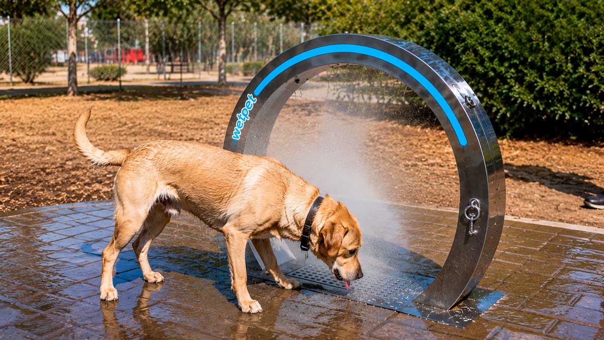 Ducha para perros en Las Rozas en funcionamiento en El Cantizal